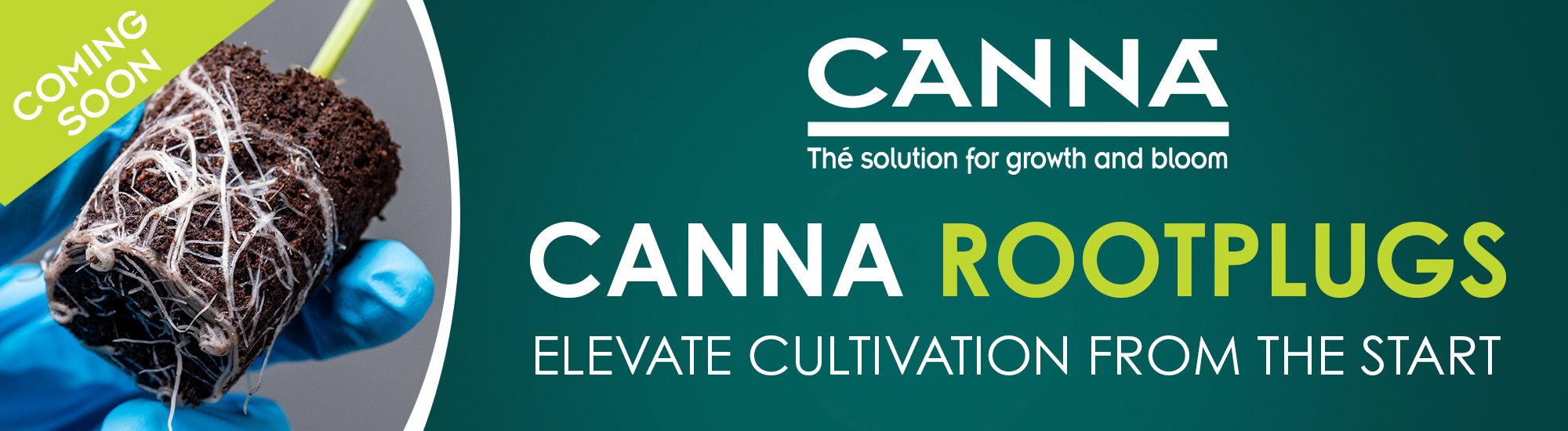 CANNA ROOTPLUGS WEB BANNER - COMING SOON - BioForal West